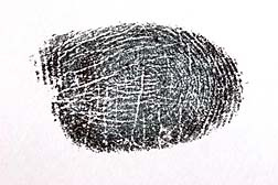 Fingerprint