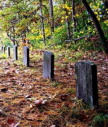 Family Graves