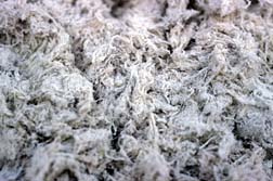 Asbestos Fibres